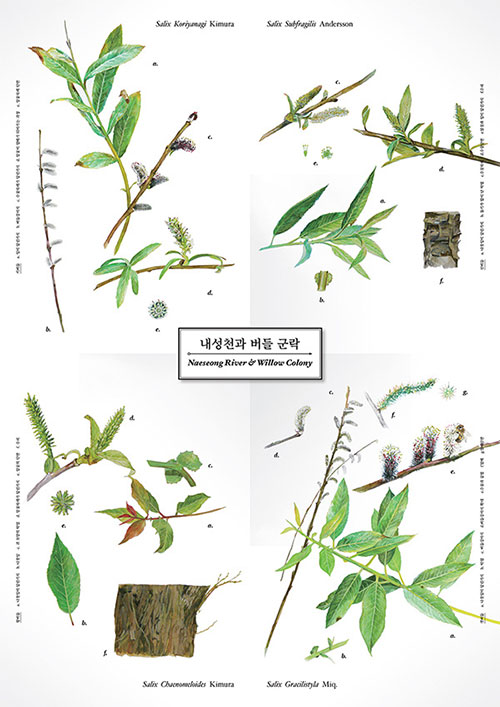 Illustrated Guide to the Ecology of Naeseong River (2014)