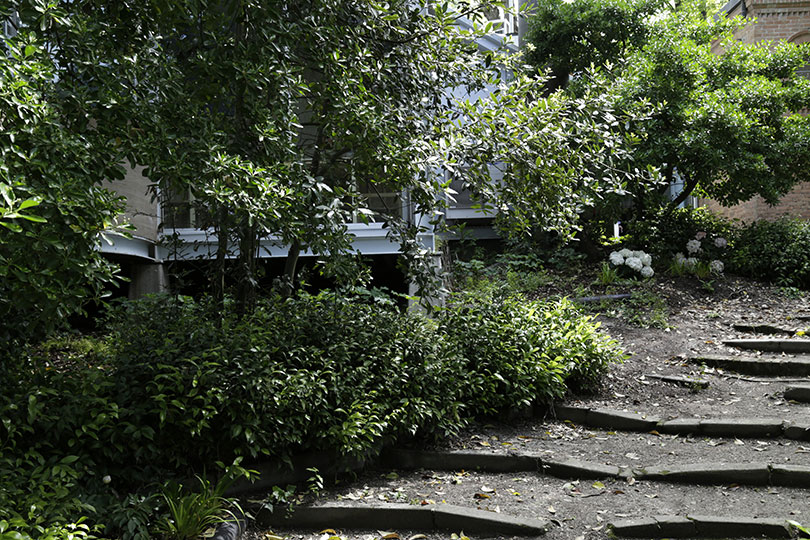 An overall view of 〈Garden in Italy〉 from the back of the Korean Pavilion. Photoⓒ Davide Giacometti