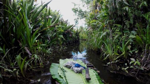 Taloi Havini, Habitat: Konawiru (2016) (still). Single-channel HD video. 3 min, 43 sec. Edition of 5 + 1 AP. Queensland Art Gallery. Gift of the artist through the Queensland Art Gallery and Gallery of Modern Art Foundation (2021). Donated through the Australian Government's Cultural Gifts Program. Courtesy the artist.