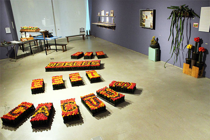 이소요, ‘관상용 선인장 디자인’, 2013–16, 선인장, 목재, 플라스틱, 디지털 프린트, image courtesy and © the artist